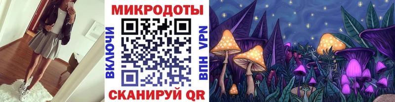 Псилоцибиновые грибы Psilocybe  Купить  Прокопьевск 